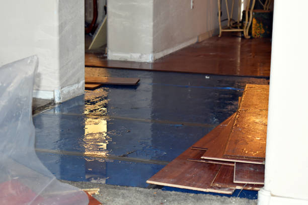 Professional Basement Flood Cleanup technician working in Lincoln, RI